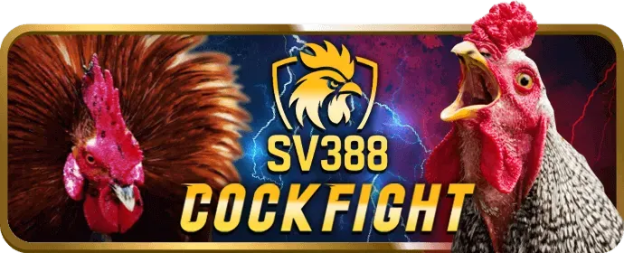Tổng quan các ưu đãi hấp dẫn tại 98win01 chính thức